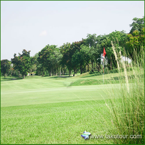 �U�E�����m�C �A���^��