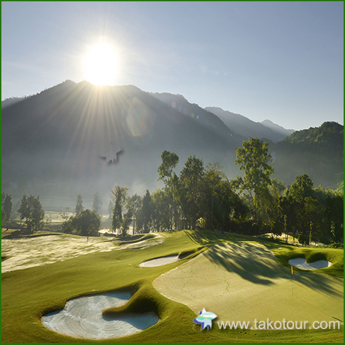 �`�F���}�C�n�C�����h�S���t�@�`�F���}�C�S���t