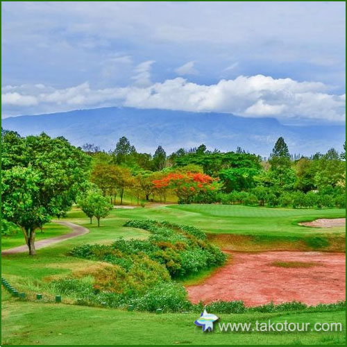 ���C�W���[�S���t�N���u �`�F���}�C�S���t