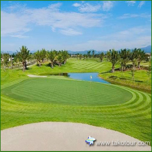 �m�[�X�q���S���t�N���u�`�F���}�C