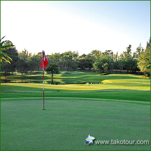 ���C�����`�F���}�C�S���t