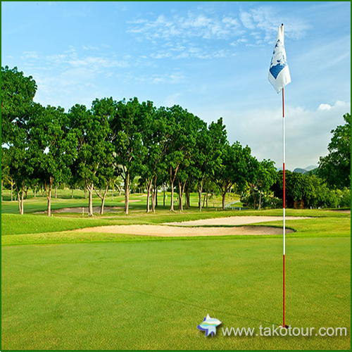 �p�[���q���Y�S���t�@�z�A�q���S���t��